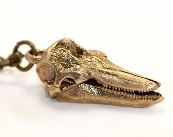 Marine Biology Gift - Dolphin Skull Necklace Science Jewelry Bronze Silver -  Marine Mammal