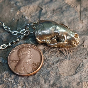 Animal Skull Necklace Badger Skull Metal Badger Charm Pendant Bronze Antique Bronze