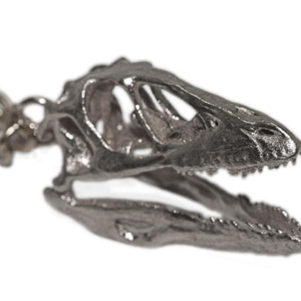 Dinosaur Necklace - Deinonychus Dinosaur Pendant - Deinonychus Dinosaur Skull Pendant White Bronze Paleontology Gifts