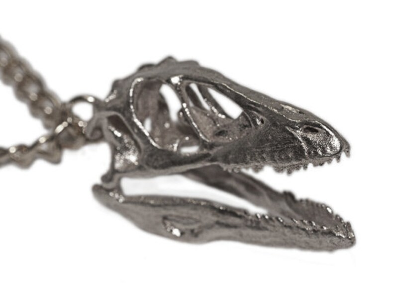 Dinosaur Necklace Dinosaur Pendant Dinosaur Jewelry Etsy