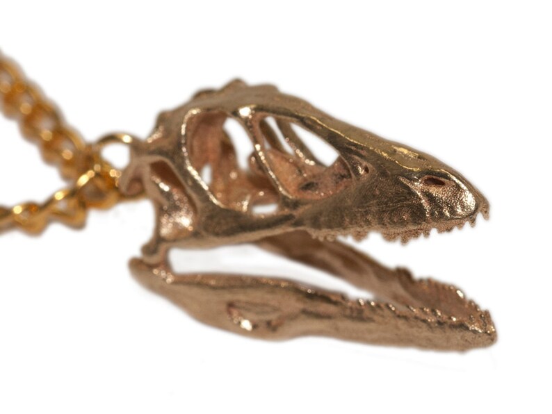 Dinosaur Necklace Dinosaur Pendant Dinosaur Jewelry Etsy