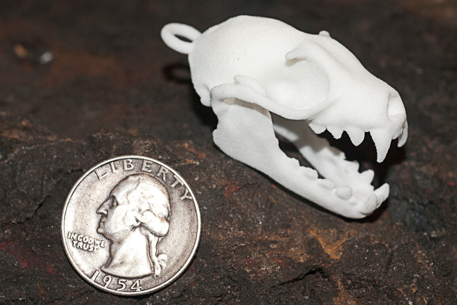 Fruit Bat Skull Replica 3D Printed Skull Plastic 3D Printed Etsy