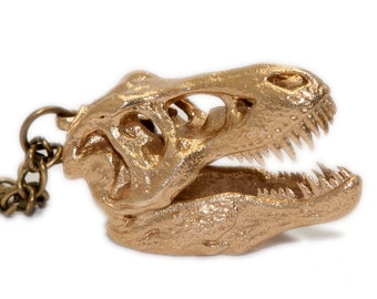 Dinosaur Earrings - Tyrannosaurus Rex Earrings - Dinosaur Jewelry - Science Jewelry - Dinosaur Skull Earrings