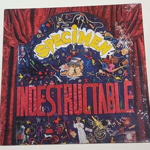 Specimen Indestructable / Brainburst Red Vinyl Record RAMPANT 12&quot; Single 33 RPM EX Vintage