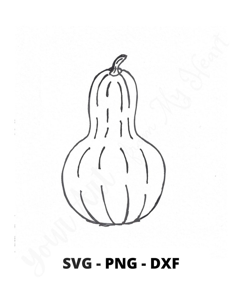 Squash SVG PNG DXF File Fall Art Printable Squash Art Etsy