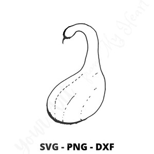 Squash SVG PNG DXF File, Fall Art, Printable Squash Art, Butternut Squash, Halloween Decor, Halloween Decorations, Hand drawn art printables