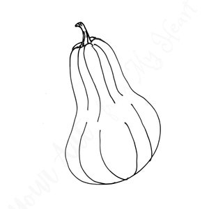 Squash SVG PNG DXF File, Fall Art, Printable Squash Art, Butternut Squash, Halloween Decor, Halloween Decorations, Hand drawn art printables