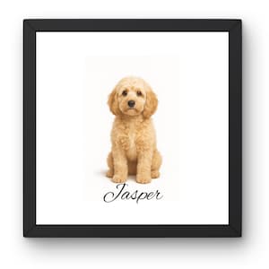 Custom Cockapoo Portrait Print, Personalized Dog Name Wall Art