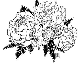 Cat Skull with Peonies - Illustration - Art Print A4 - 21 x 29,7 cm / 8.3 x 11.7 inches - Mar del Valle