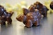 Handmade Chocolate Dinosaur Figures - 'Herd of Dinosaurs'. Ideal chocolate gifts/dinosaur gifts. Artisan chocolate. Birthday present. 