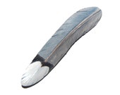 Talla de madera de madera de la pluma de broche de torcaz Paloma mano pluma tallada pluma broche plumas pin hat pin naturaleza broche observador de aves