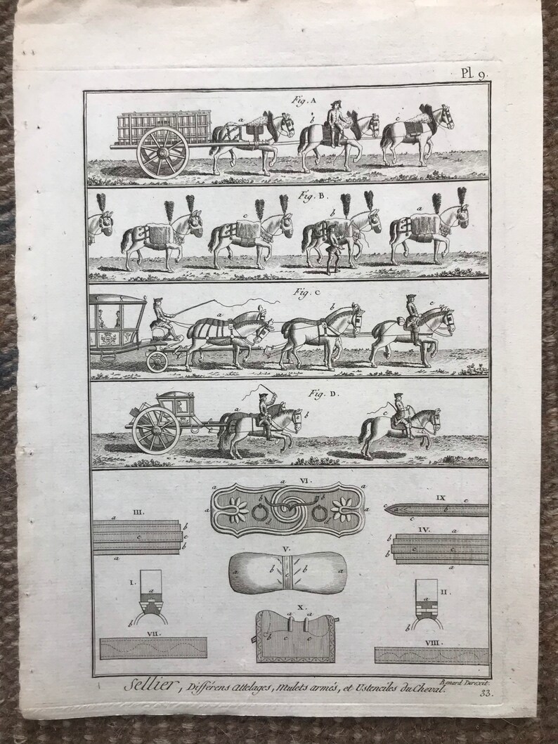 May include: A vintage black and white illustration depicting different types of horse-drawn carriages and saddles. The image includes detailed drawings of various harnessing techniques, saddles, and other horse-related equipment. The text at the bottom reads "Sellier, Diff&eacute;rens attelages, mod&egrave;les arm&eacute;s, et Ustenciles du Cheval."