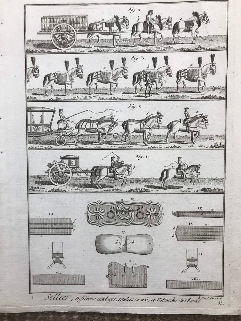 May include: An antique engraving depicting different types of horse-drawn carriages and harnesses. The image includes detailed illustrations of various carriage designs, harness configurations, and horse tack. The text "Sellier, Differens attelages, mulets arm&eacute;s, et Ustenciles du Cheval." is included at the bottom of the image.