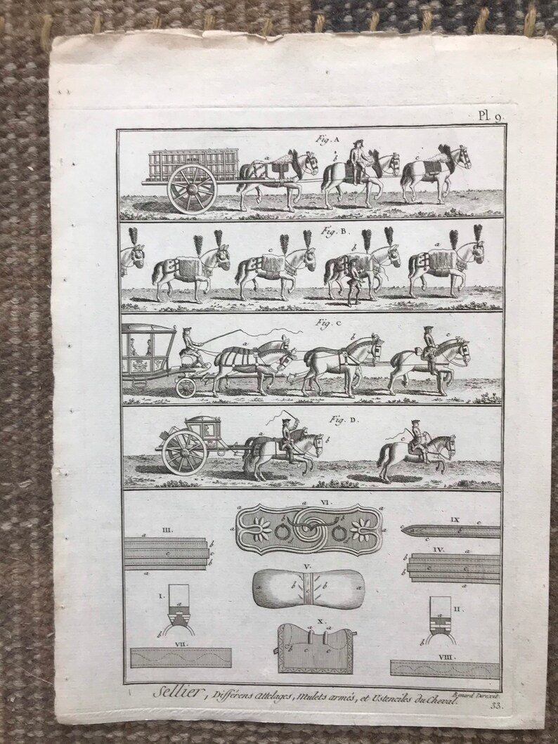 May include: A black and white illustration of different types of horse-drawn carriages and harnesses. The image includes diagrams of various harness parts, including saddles, bridles, and reins. The text on the image reads "Sellier, Differens attelages, tulets arm&eacute;s, et Ustencikos du Cherald."