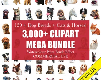 Plus de 3 000 chiens, chats, chevaux, images clipart Mega Bundle, 150 races de chiens, collection pour grands animaux de compagnie à usage commercial, téléchargement numérique instantané