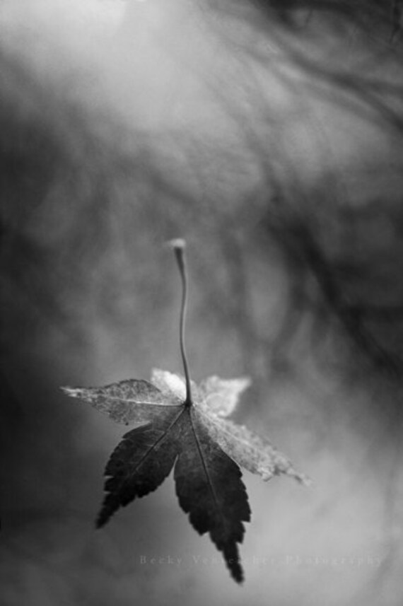 Zwart Wit Fotografie Vallende Blad Herfst Val Tijd Etsy