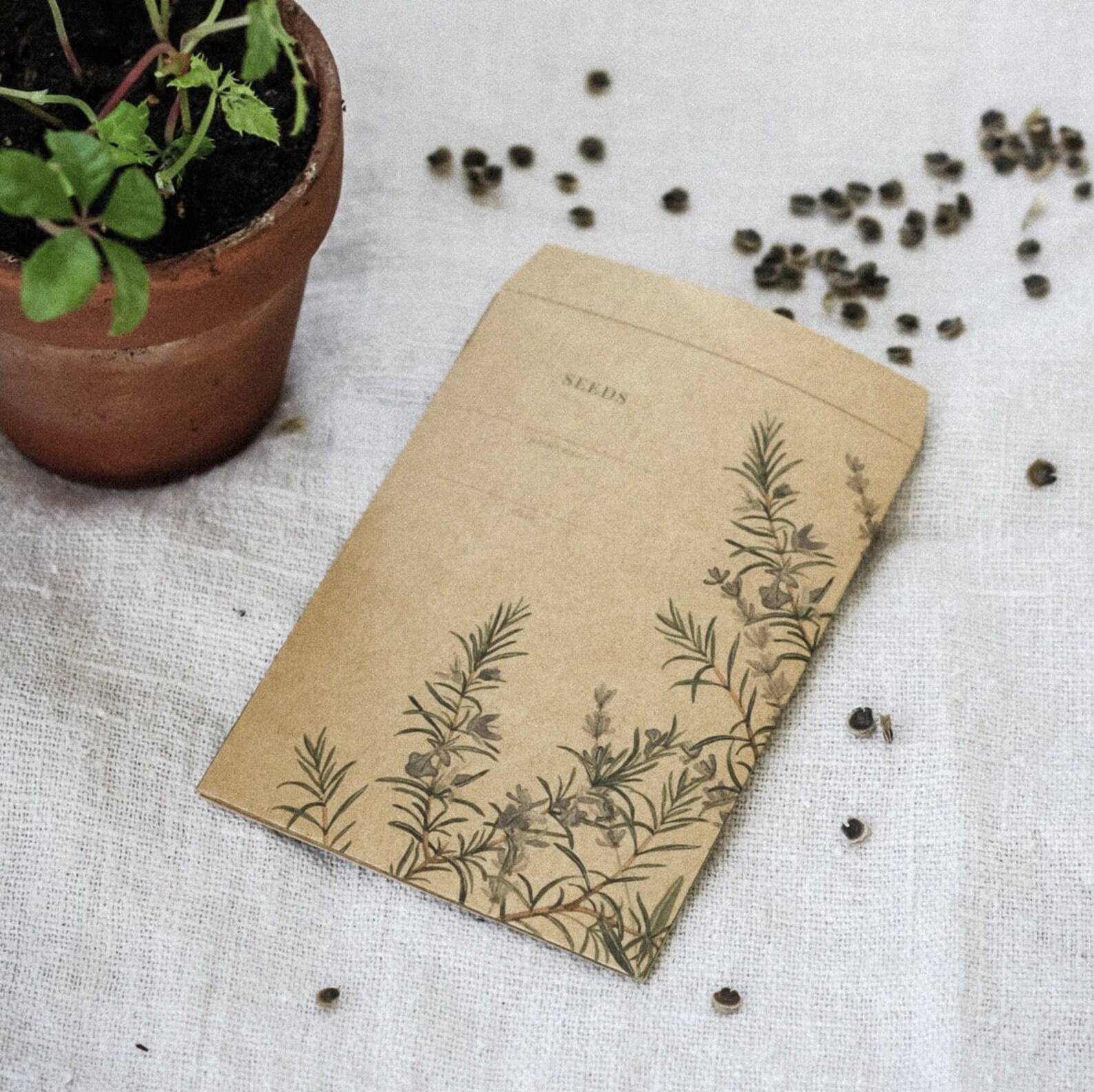 Printable Seed Packet, Instant Download, Daffodils and Rosemary Etsy