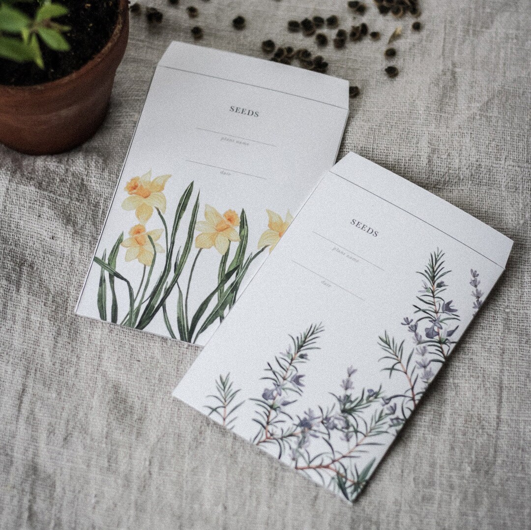 Printable Seed Packet, Instant Download, Daffodils and Rosemary Etsy