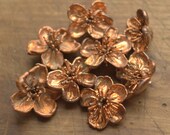 Real cherry flowers electroformed with copper, copper dipped big flowers,metal cherry flowers,cherry pendants,nature inspired,electroforming