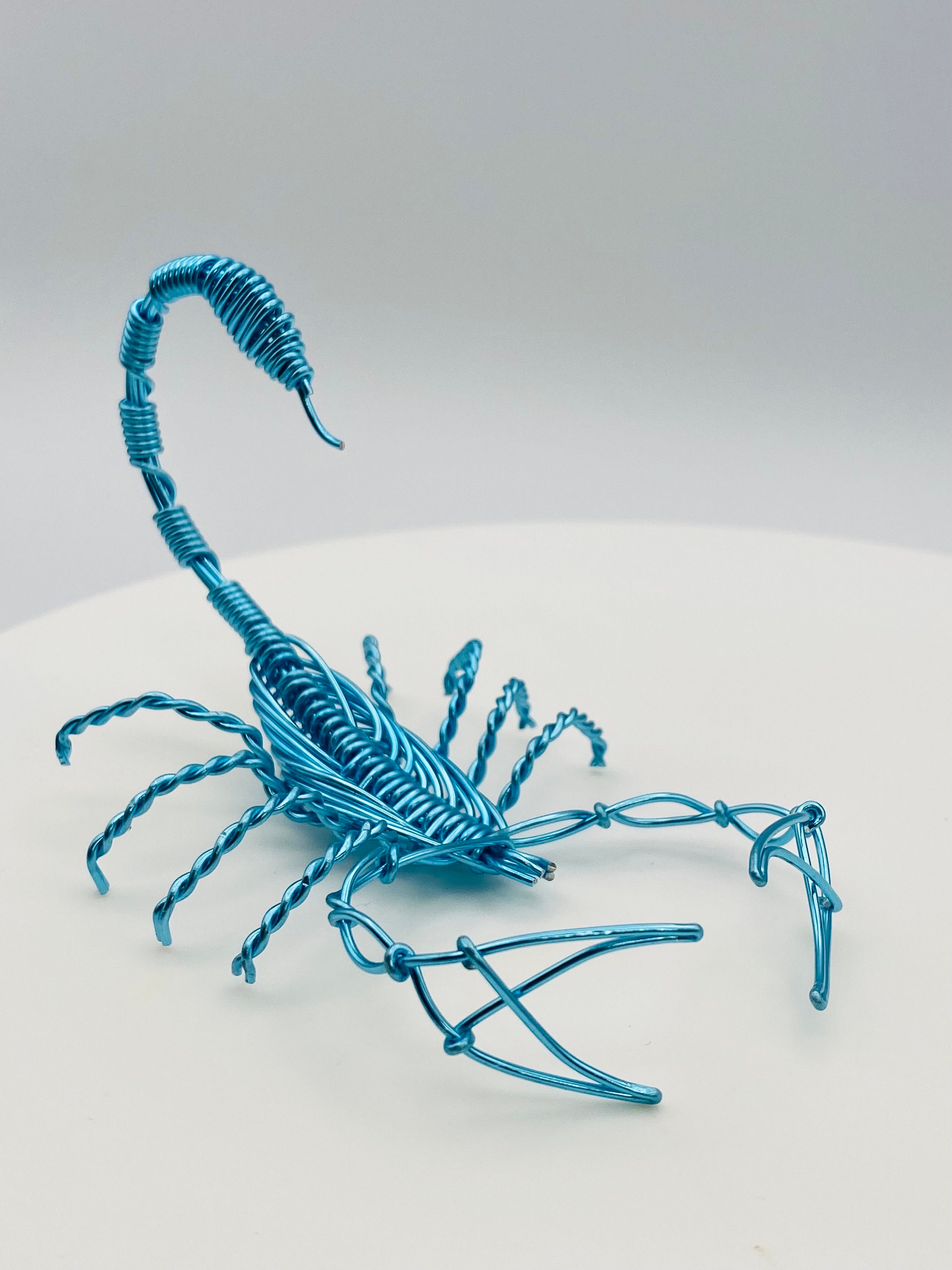 中国 獣骨製 細密彫刻 扇子 合せ箱 M R5726の通販 by
