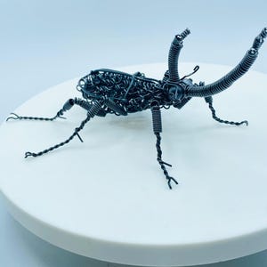 Rhinoceros Japanese beetle sculpture