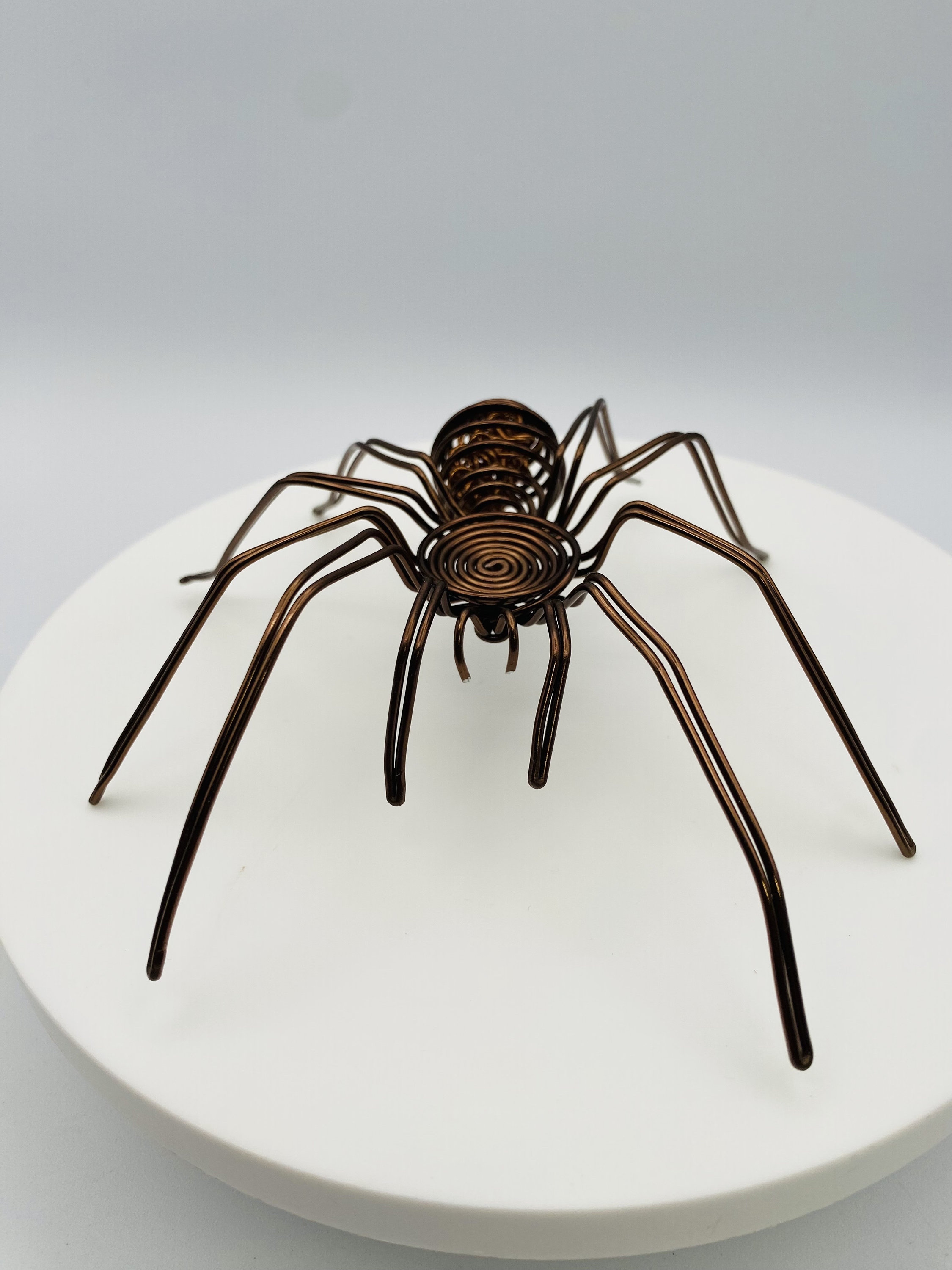 Tarantula Wire Sculpture , Wire Spider 