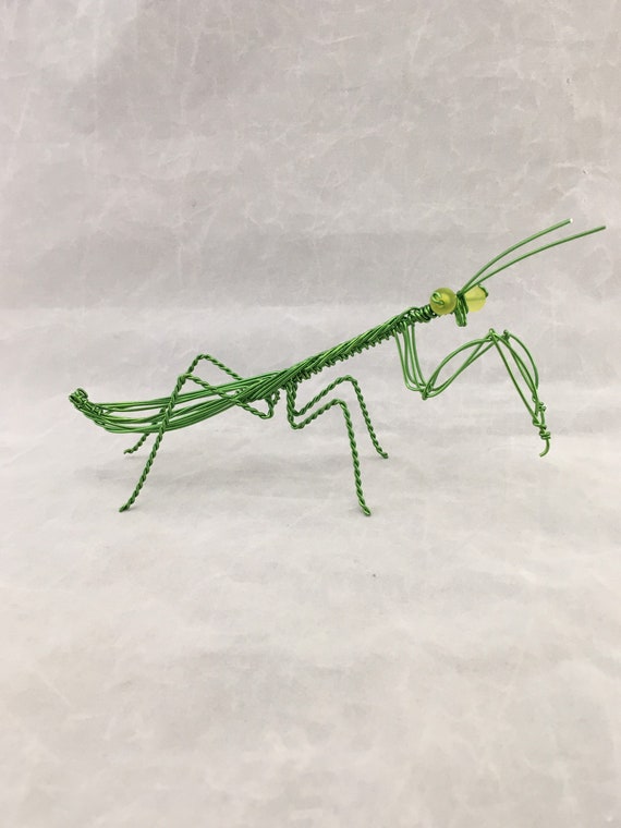 - Adult T-Shirt XL ts_319047 Insects Macro Photograph of a Baby Praying Mantis on a Shepherd Hook 3dRose Stamp City - Adult T-Shirt XL ts_319047 Insects Macro Photograph of a Baby Praying Mantis on a Shepherd Hook 3dRose Stamp City