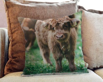 Cows photography | Etsy Highland Cow Baby Throw Pillow