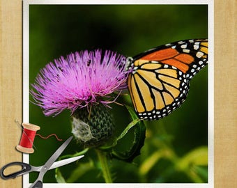 Butterfly Flower Photography - Cushion Panel Upholstery Cotton Fabric Craft Panel, Sewing Quilting