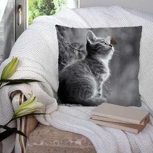 Puede incluir: Un cojín cuadrado con una imagen en blanco y negro de un gatito gris mirando una mariposa. El cojín está colocado sobre una manta blanca de punto sobre una silla. Una pila de libros descansa cerca.