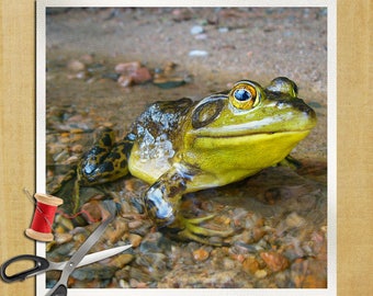 Frog Toad Outdoor Photography - Cushion Panel Upholstery Cotton Or Velvet Fabric Craft Panel, Sewing Quilting