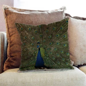 Peacock Feather bird Photography - Decorative PIllow Throw Cushion Fabric , Case Cover or with Filling