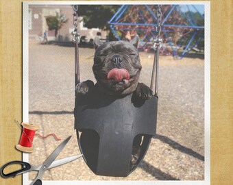 French Bulldog Dog Photography - Cushion Panel Upholstery Cotton Fabric Craft Panel, Sewing Quilting