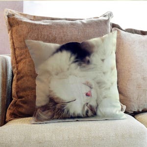 Cat Sleeping Animal Whiskers Photography - Decorative PIllow Throw Cushion Fabric , Case Cover or with Filling