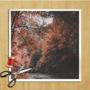 Puede incluir: Una fotografía de una escena de bosque con un río que lo atraviesa. Los árboles son principalmente de hoja caduca y están en varios tonos de rojo, naranja y verde. El río es tranquilo y claro, y la luz es suave y difusa.