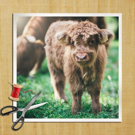 Highland Cows Animal Calf Baby Highland Cow Cushion Panel Etsy