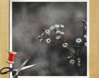 Flower Dead Photography - Cushion Panel Upholstery Cotton Fabric Craft Panel, Sewing Quilting