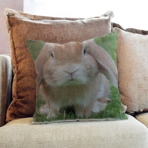 Lindo conejo conejo fotografía al aire libre - almohada decorativa tirar tela de cojín, cubierta de la funda o con relleno
