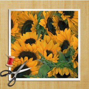 Puede incluir: Una imagen de primer plano de un ramo de girasoles amarillos brillantes con centros marrones oscuros. Los girasoles están dispuestos en un grupo, con sus pétalos superpuestos y creando un patrón vibrante y texturizado.