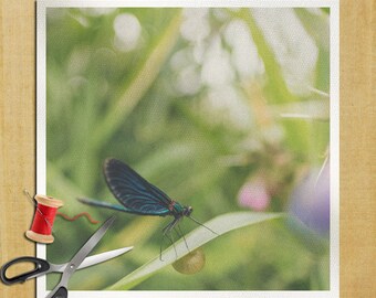 Dragonfly Insect grass - Cushion Panel Upholstery Cotton Fabric Craft Panel, Sewing Quilting