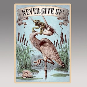 Puede incluir: Una ilustración de estilo vintage de una garza con una rana posada en su espalda. La garza está de pie en un pantano con juncos y cañas. La ilustración está en tonos de marrón, verde y azul. El texto "NEVER GIVE UP!" está escrito en una pancarta sobre la garza.