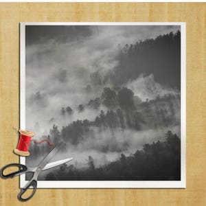 Puede incluir: Una fotografía en blanco y negro de un bosque brumoso con colinas onduladas. La niebla es espesa y oscurece los detalles de los árboles.