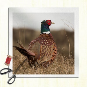 Pheasant - Cushion Panel Upholstery Cotton Fabric Craft Panel, Sewing Quilting