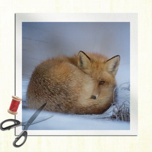 Snow Fox - Cushion Panel Upholstery Cotton Fabric Craft Panel, Sewing Quilting