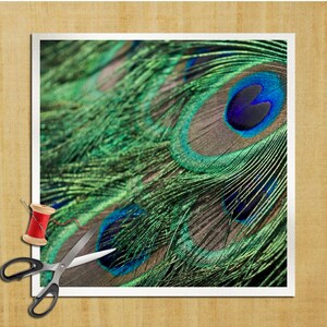 Puede incluir: Primer plano de una pluma de pavo real con colores vibrantes verde, azul y marrón. La pluma tiene un patrón de ojo distintivo con un centro azul y un anillo verde alrededor.