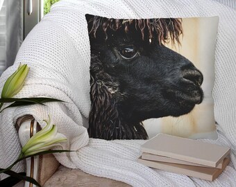 Op de afbeelding: Een zwarte alpaca met een pluche vacht en een zachte, vriendelijke uitdrukking. Het hoofd van de alpaca is naar de zijkant gedraaid en zijn oog is zichtbaar. De achtergrond is lichtbeige.