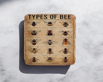 Type Of Bees Insects - Printed Slate Coaster Tableware Gift Drink Rustic Square