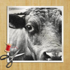 Puede incluir: Primer plano en blanco y negro de la cara de una vaca, con enfoque en el ojo y la textura del pelaje. Una bobina de hilo rojo y unas tijeras sugieren un tema artesanal o artístico. La imagen está enmarcada.