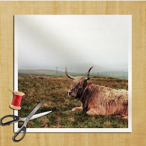 Puede incluir: Una vaca de las Tierras Altas con largo y lanudo pelaje marrón descansa en un campo cubierto de hierba bajo un cielo nublado. La imagen está enmarcada con un borde blanco e incluye una bobina de hilo rojo y tijeras.