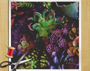Catus Succulents Plants Photography - Cushion Panel Upholstery Cotton Fabric Craft Panel, Sewing Quilting